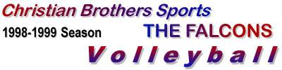 volleyball.jpg (19842 bytes)